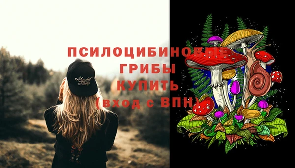 бошки Армянск