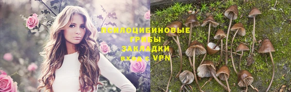 спайс Алзамай