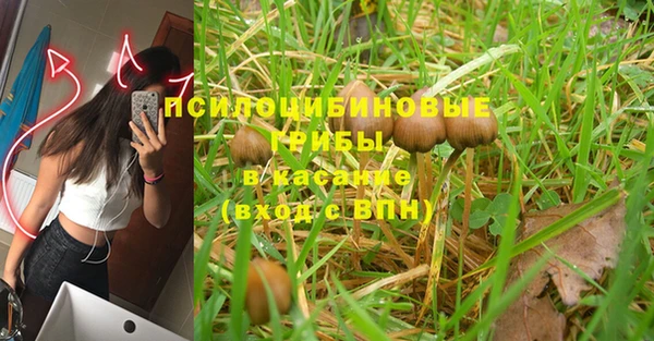 бошки Армянск