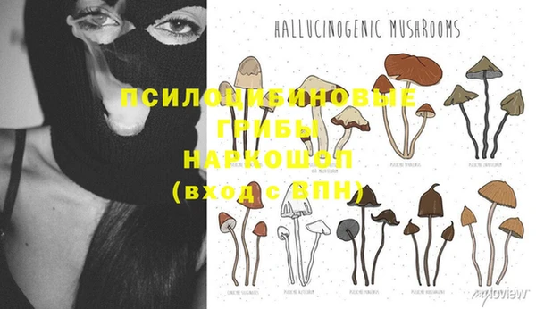 Альфа ПВП Арсеньев